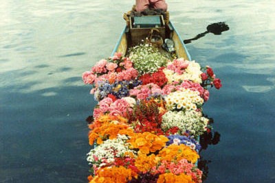 Flower Chikara  | by Noorkhan | via vitchaus